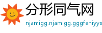 分形同气网